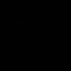 Meet your Posher, Riley